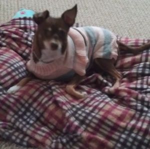 Meet your Posher, Melissa